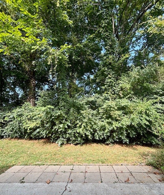 Beautiful mature trees off back patio! Perfect view not backing to other homes!