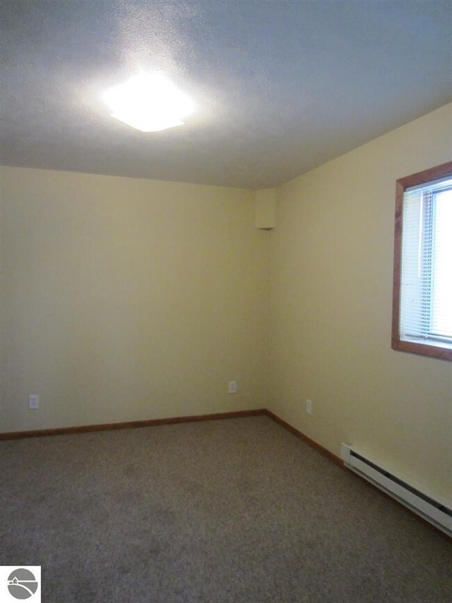 9317 Osmo St, Kaleva, MI 49645 - photo 4