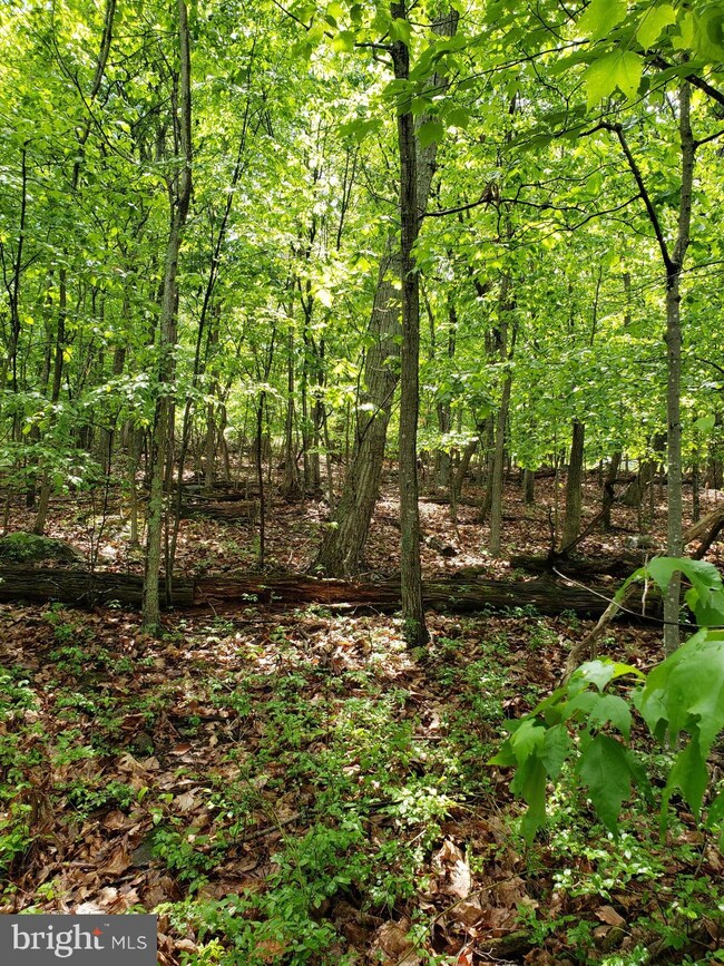 0 Lot 378 Kits Ct unit VAWR2003128, Front Royal, VA 22630 - photo 7