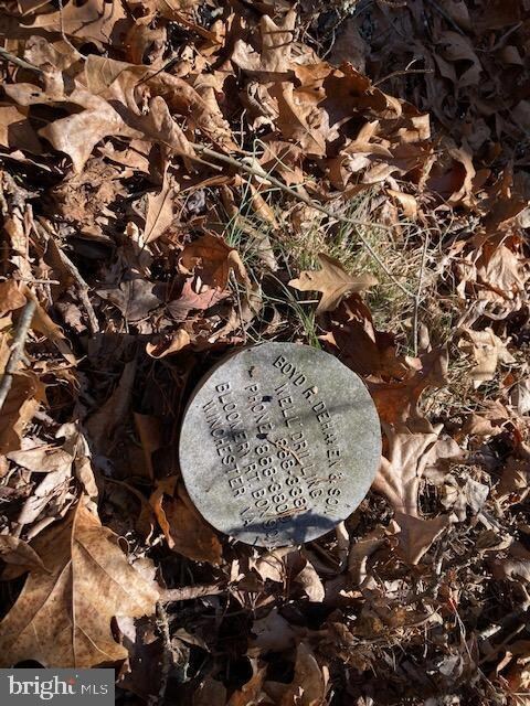 518 Tinderbox Ln, Winchester, VA 22603 - photo 4