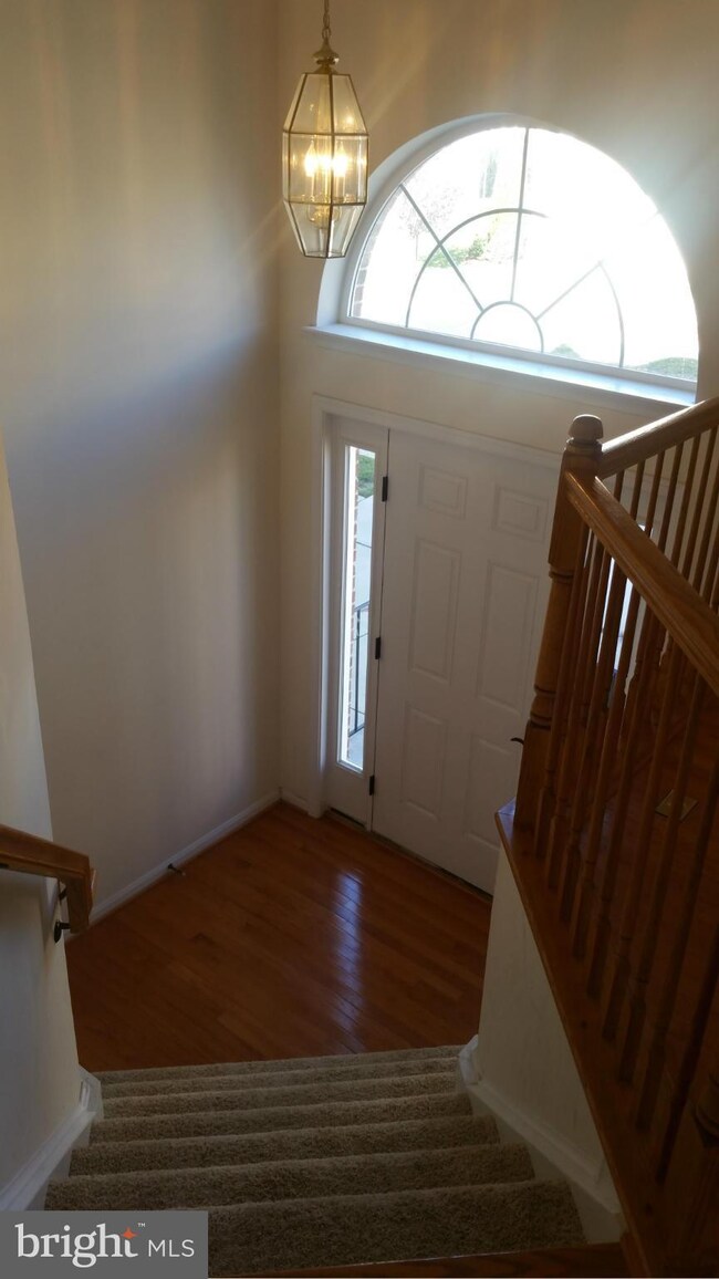 43319 Stonegarden Terrace, Broadlands, VA 20148 - photo 3