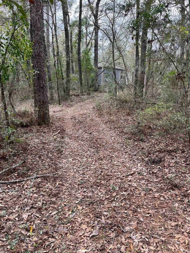 23 Emily Ln, Crawfordville, FL 32327 - photo 3