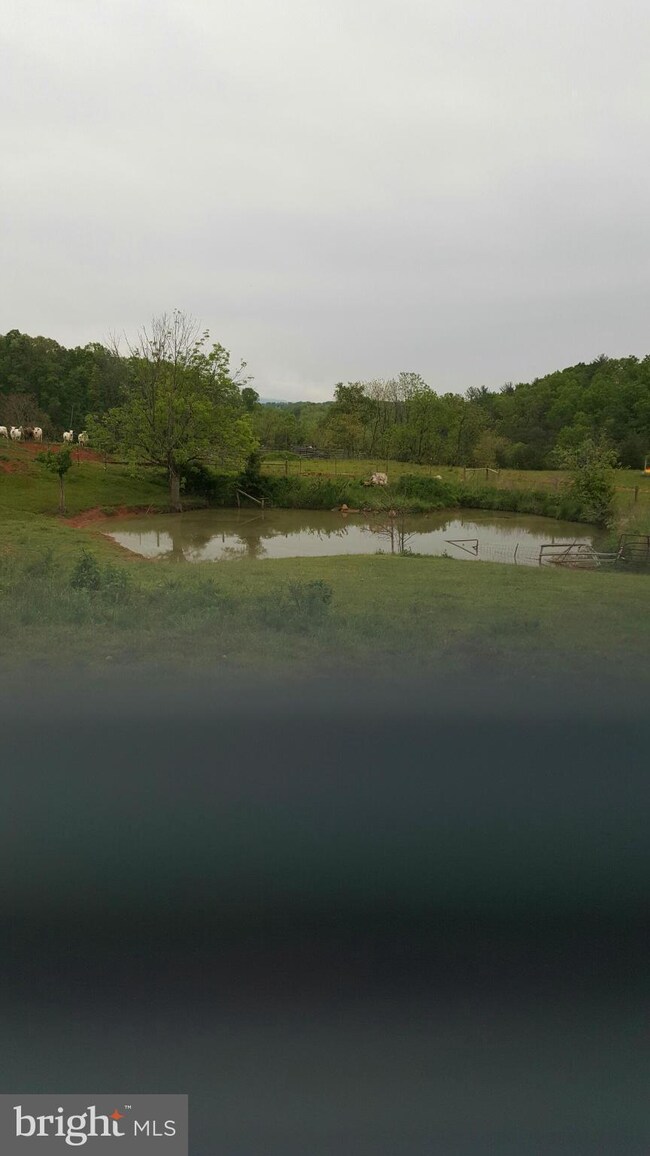 unlisted-address, Edinburg, VA 22824 - photo 2