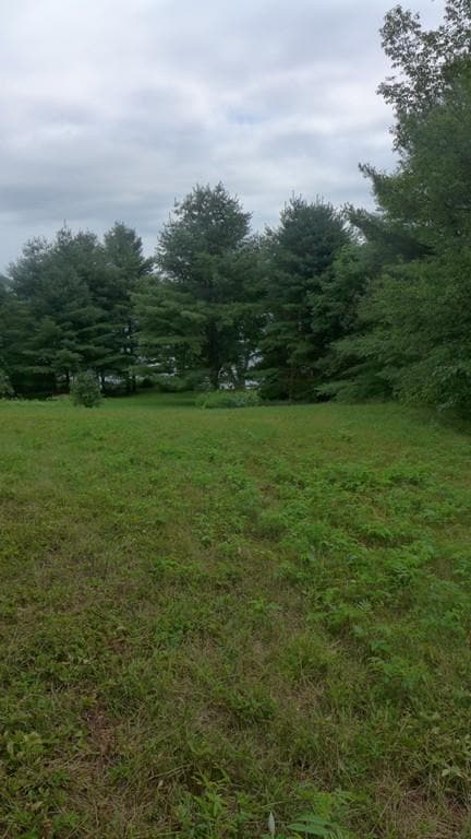 136 Paxton Rd, Spencer, MA 01562 - photo 3