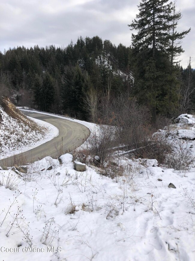 NNA F8&F9 S Idaho Club Dr, Sandpoint, ID 83864 - photo 4