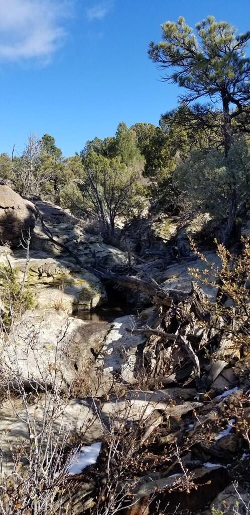 Arroyos through the pinon juniper forest!
