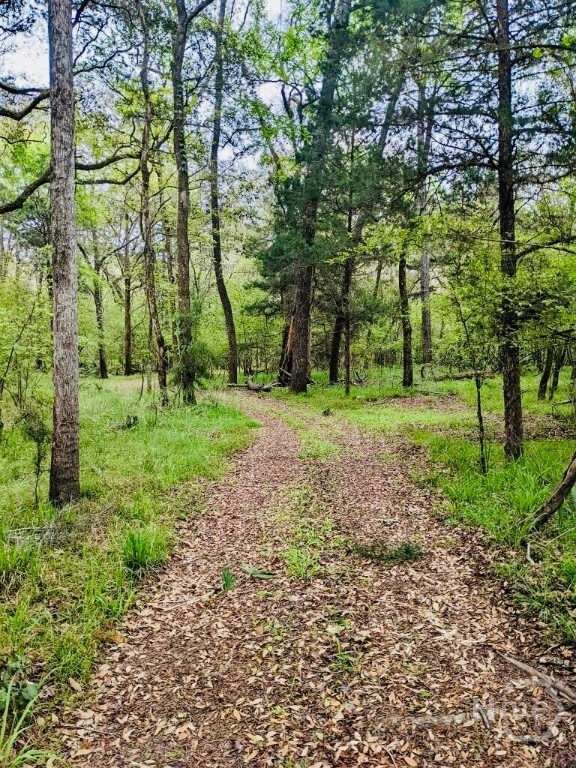 00 Charles Spikes Rd, Reidsville, GA 30436 - photo 4