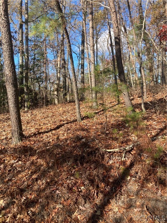 0 Dry Bridge Rd, Caroline, VA 22546 - photo 4