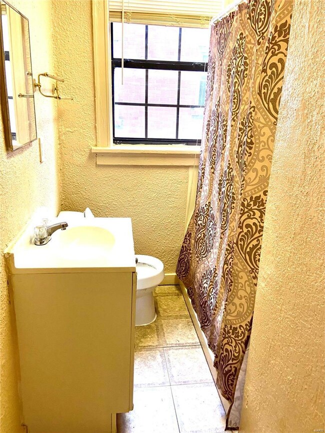 4735 Palm St, Saint Louis, MO 63115 - photo 4