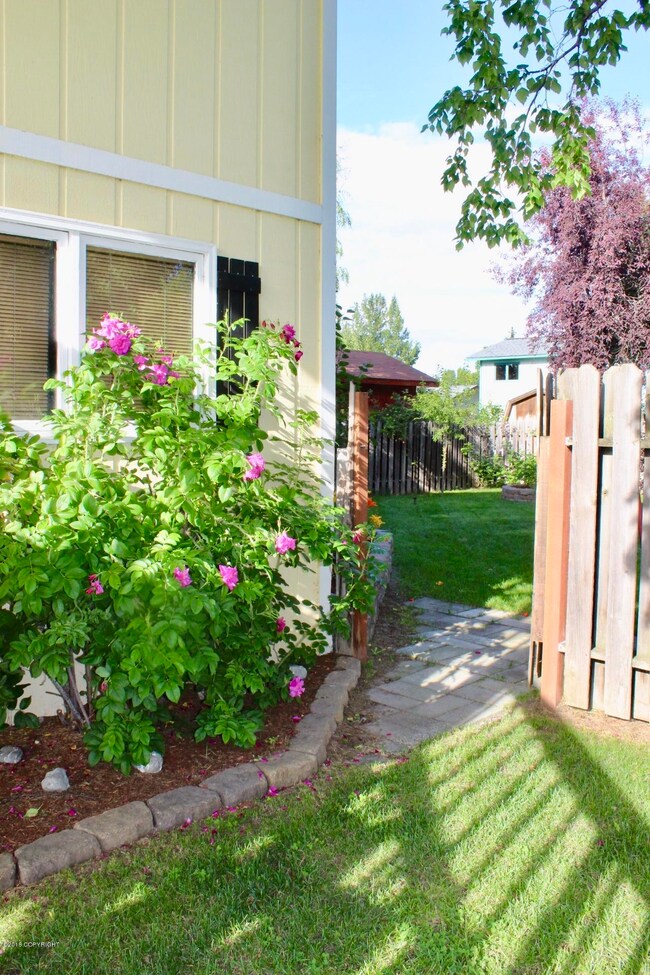 Gate to back yard