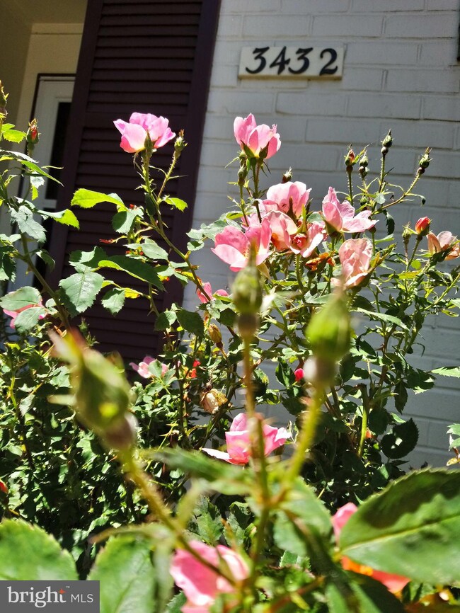 3432 Chiswick Ct, Silver Spring, MD 20906 - photo 3