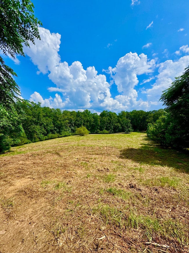 0 Bailey Rd, Double Springs, AL 35553 - photo 2