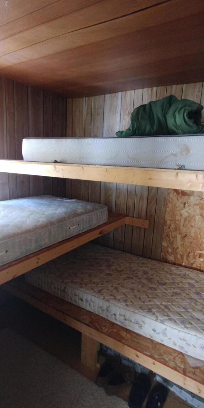 3407 W 8th St, Baldwin, MI 49304 - photo 5