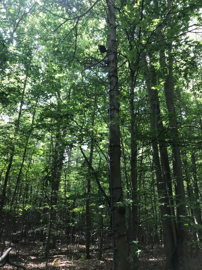 0 W 48th St unit 18035343, Newaygo, MI 49337 - photo 4