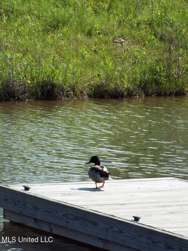 18-8 Windermere Blvd unit 18-8, Madison, MS 39110 - photo 7