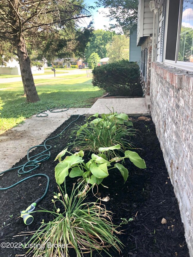 8212 Sandidge Dr, Louisville, KY 40228 - photo 5