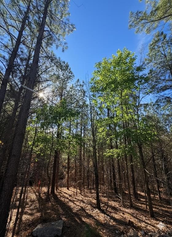 4 Sugarberry Trail, Broken Bow, OK 74728 - photo 4