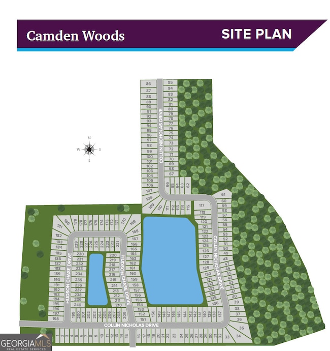 216 Collin Nicholas Dr unit LOT 24, Kingsland, GA 31548 - photo 3