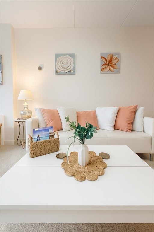 Parkview Condominiums unit T28, Winchester, MA 01890 - photo 6