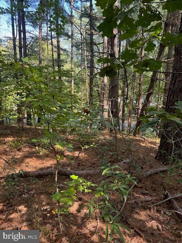 2550 Redbud Ln, Owings, MD 20736 - photo 3