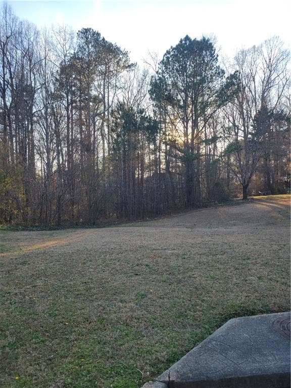 View of grassy yard