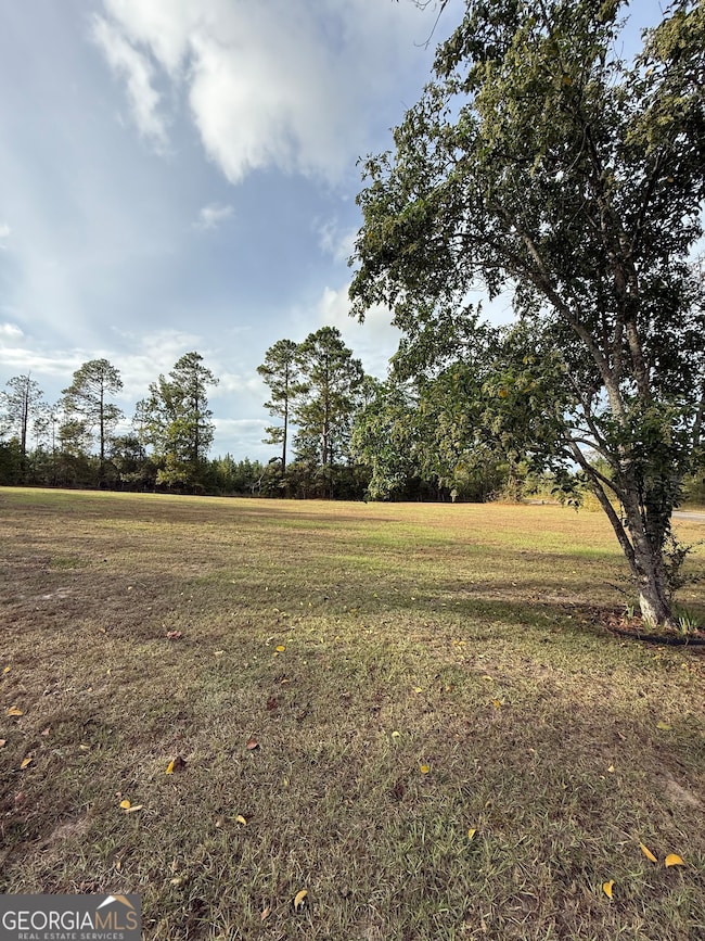 2010 Page Rd, Harrison, GA 31035 - photo 7