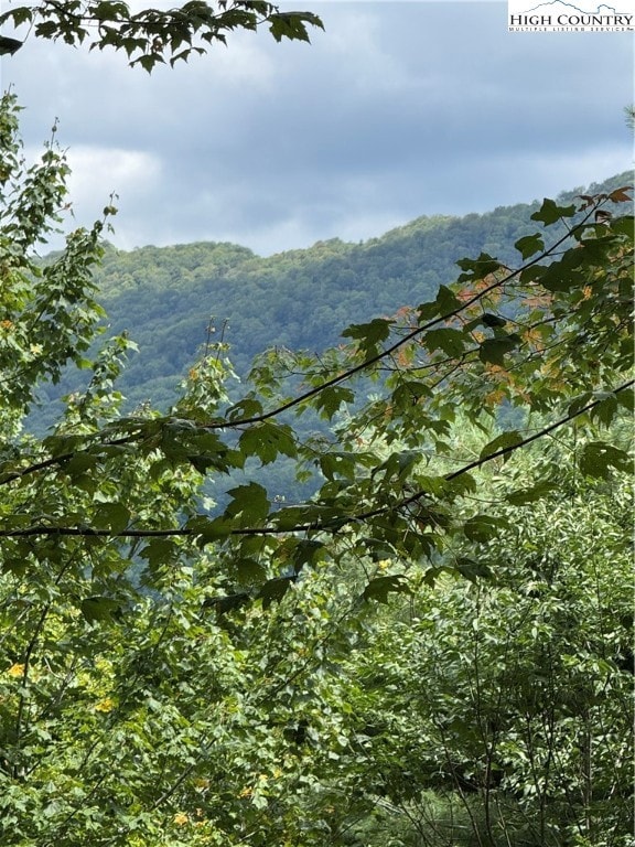 175 Ridgeview Rd unit 2, Sugar Mountain, NC 28604 - photo 6