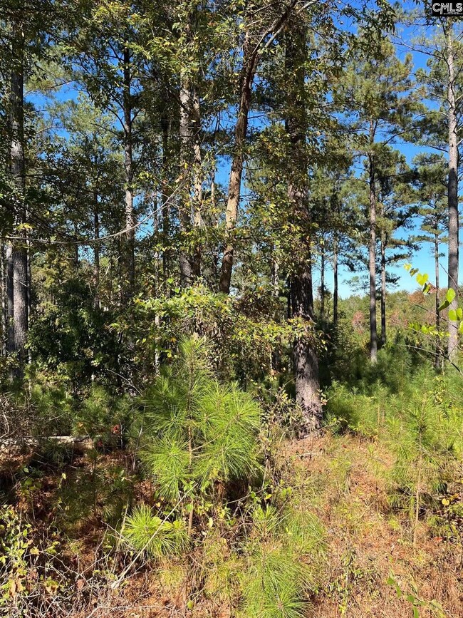 DRF 3 Dawkins Rd unit DRF 3, Pacolet, SC 29372 - photo 2