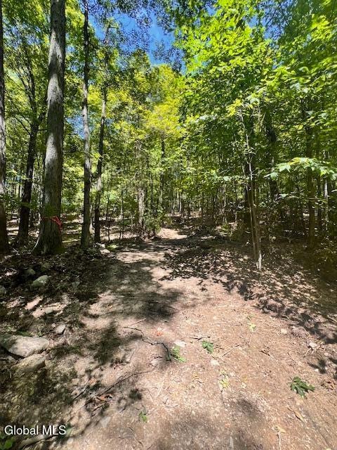 L7.41 Summit Lake Rd, Argyle, NY 12809 - photo 6