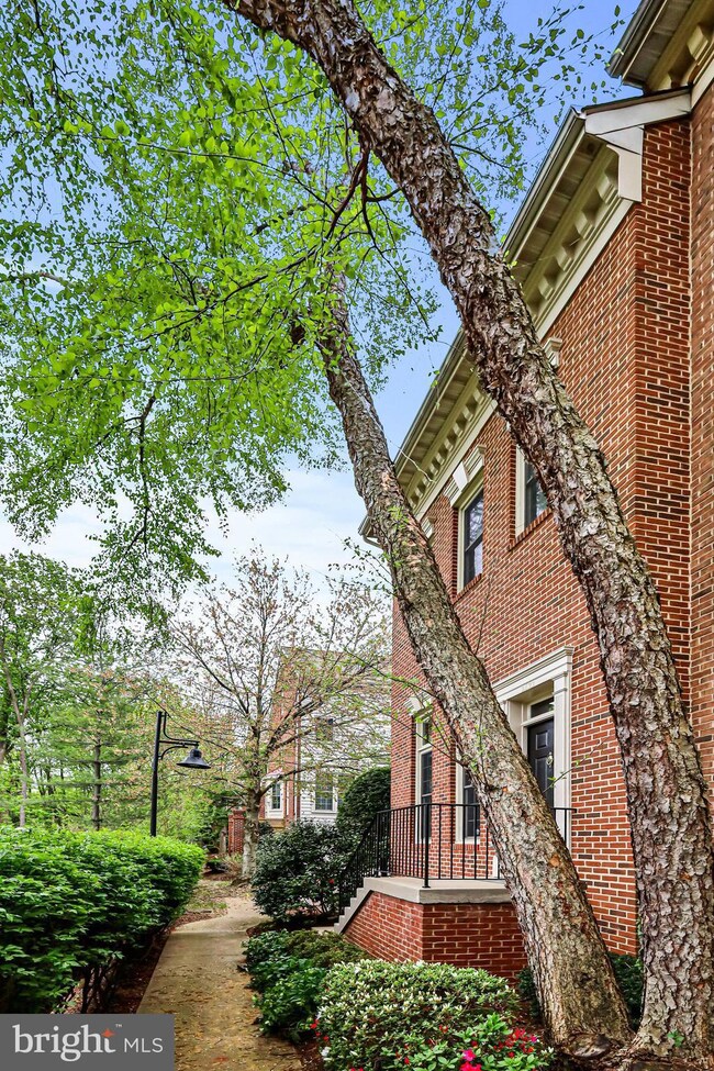 2422 Garnett Dr, Alexandria, VA 22311 - photo 5