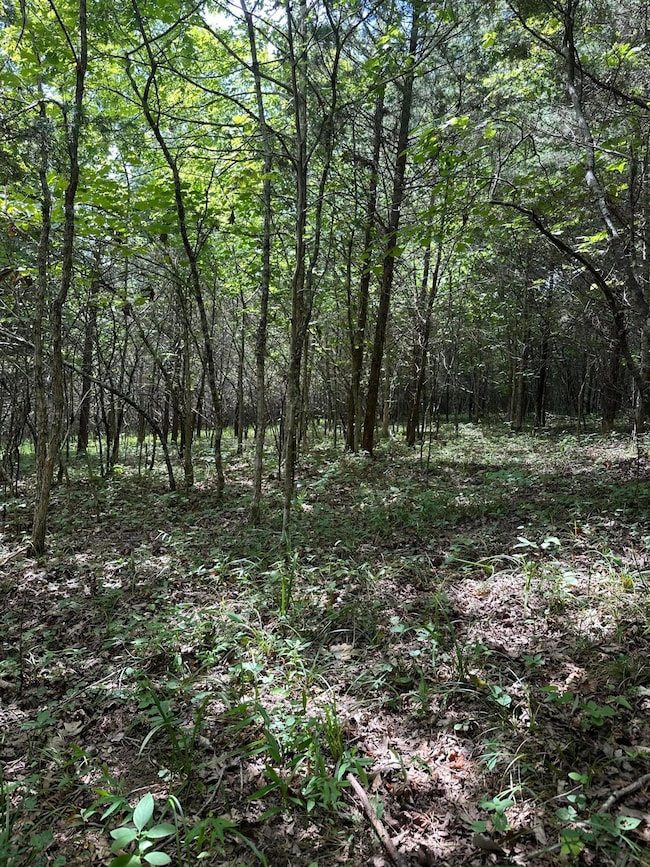 781 Apple Ln, Cynthiana, KY 41031 - photo 7