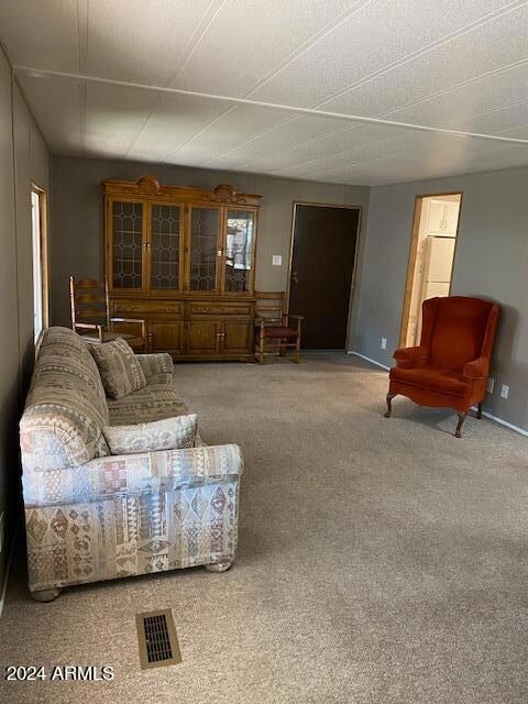 2605 S Tomahawk #33 Living Room 1