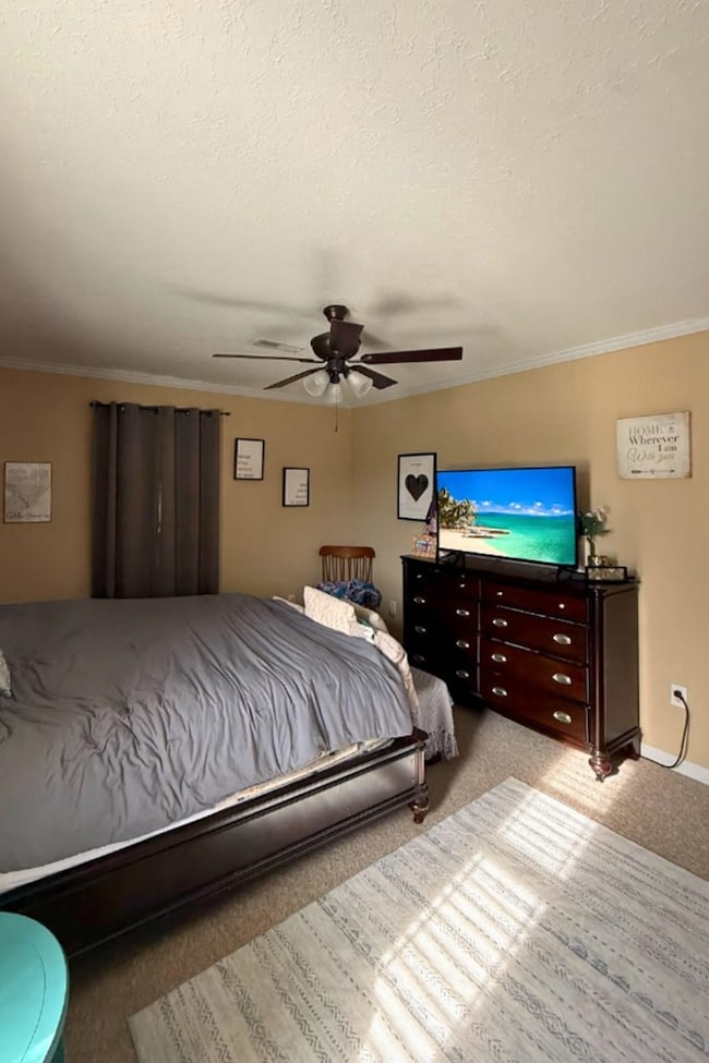 219 Tator Nob Rd, Liberty, TN 37095 - photo 3