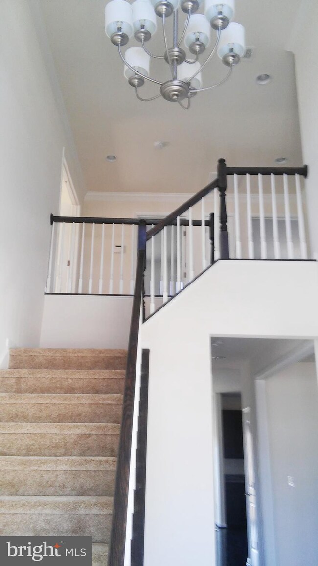 36 Orchid Ln, Stafford, VA 22554 - photo 2