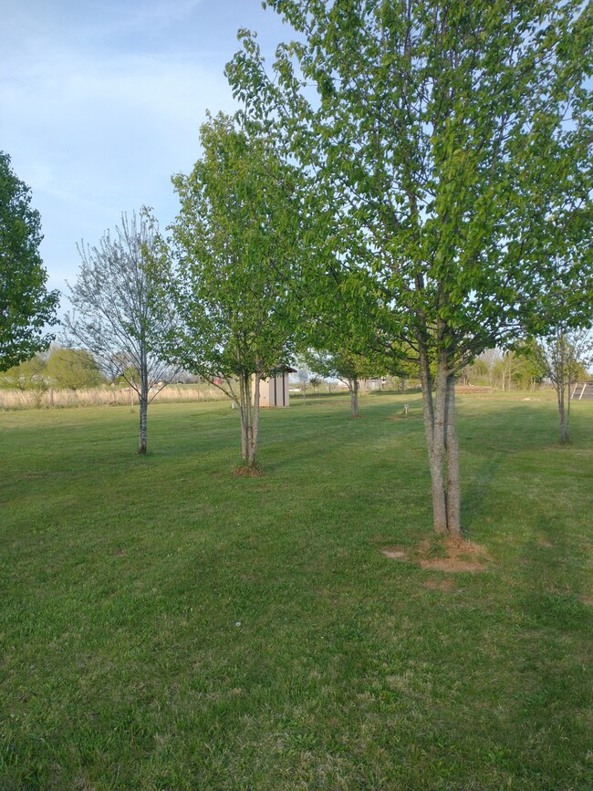 0 River Rd unit RTC2373904, Lewisburg, TN 37091 - photo 6