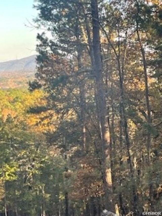 0 Rustic Hills unit 153365, Hot Springs, AR 71913 - photo 2