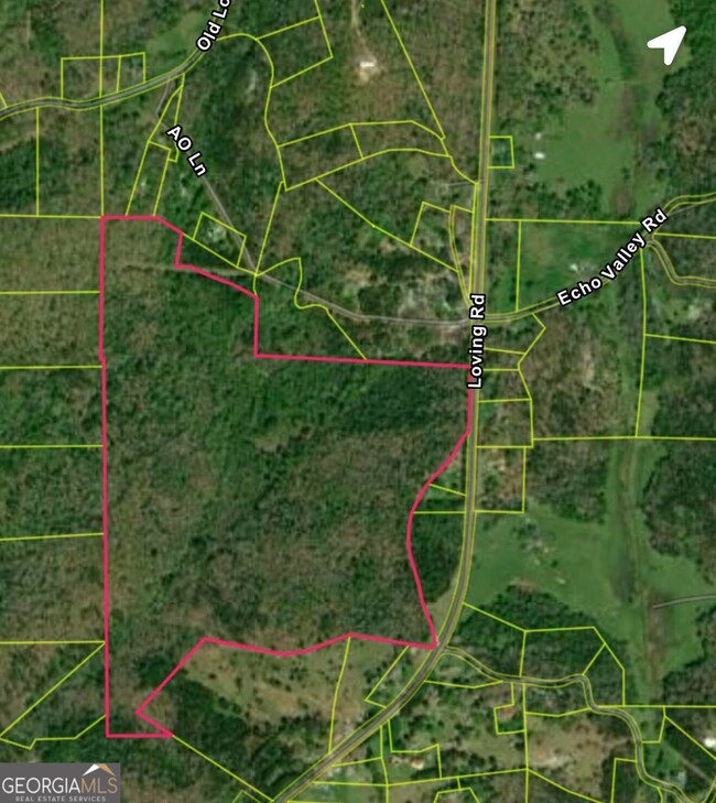 0 Loving Rd unit 10647446, Morganton, GA 30560 - photo 2