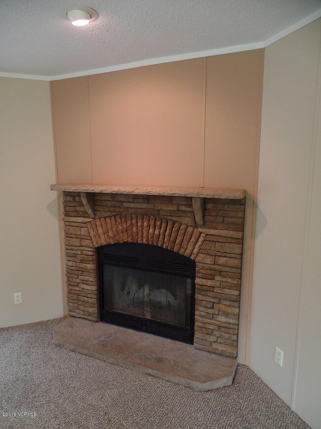 Autumn Ln. 3 - Fireplace