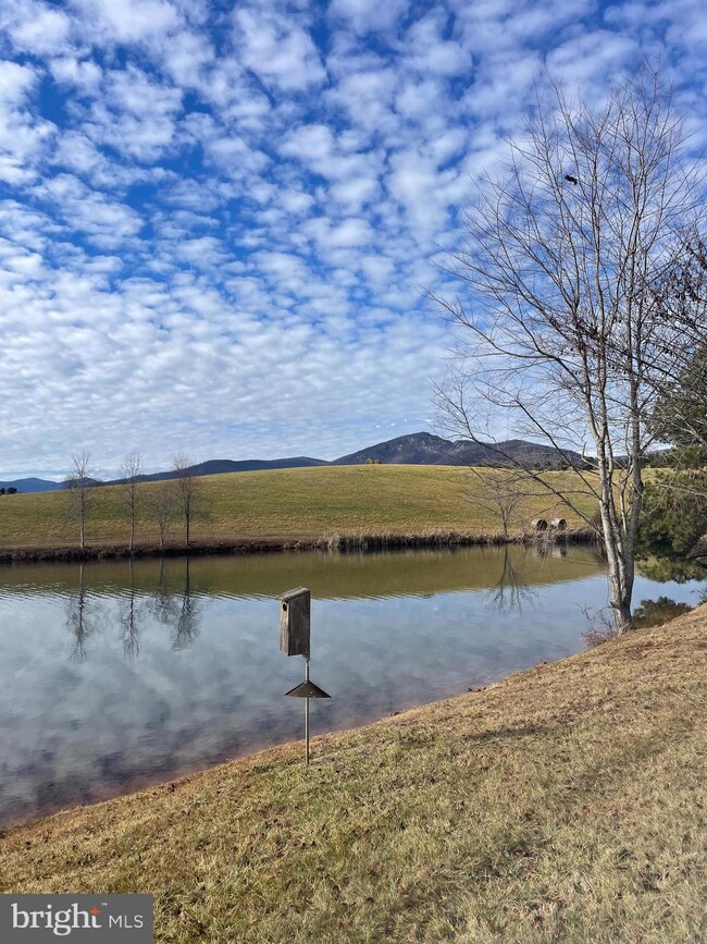 0 Ft Valley Rd unit VARP2001410, Sperryville, VA 22740 - photo 2