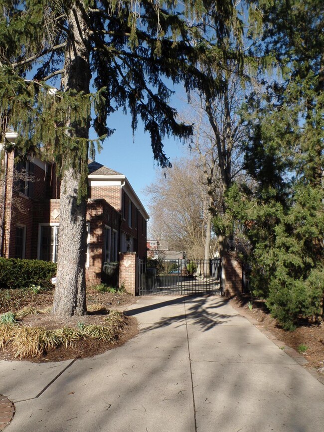 Driveway to Gate