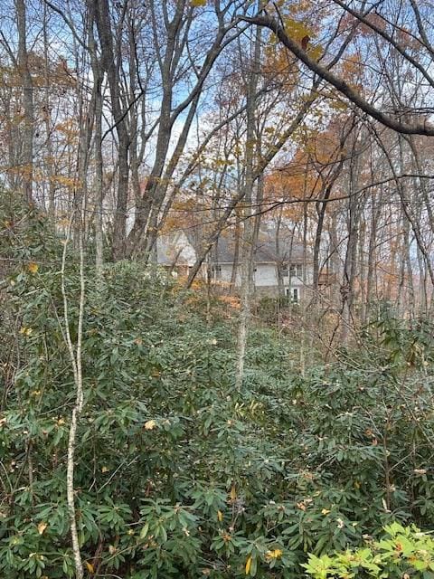 unlisted-address, Whittier, NC 28789 - photo 3