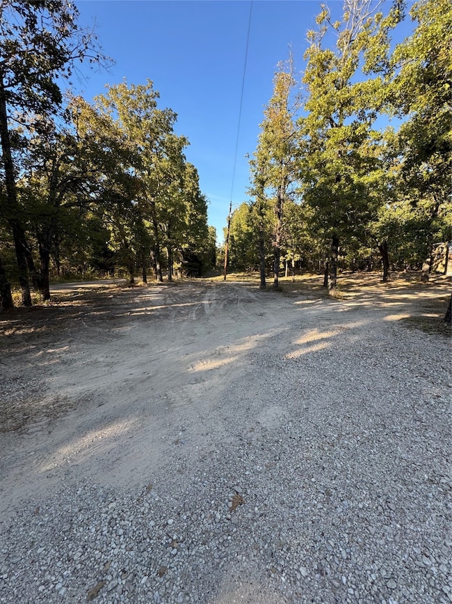 6171 Glen Oaks Rd, Mabank, TX 75156 - photo 3