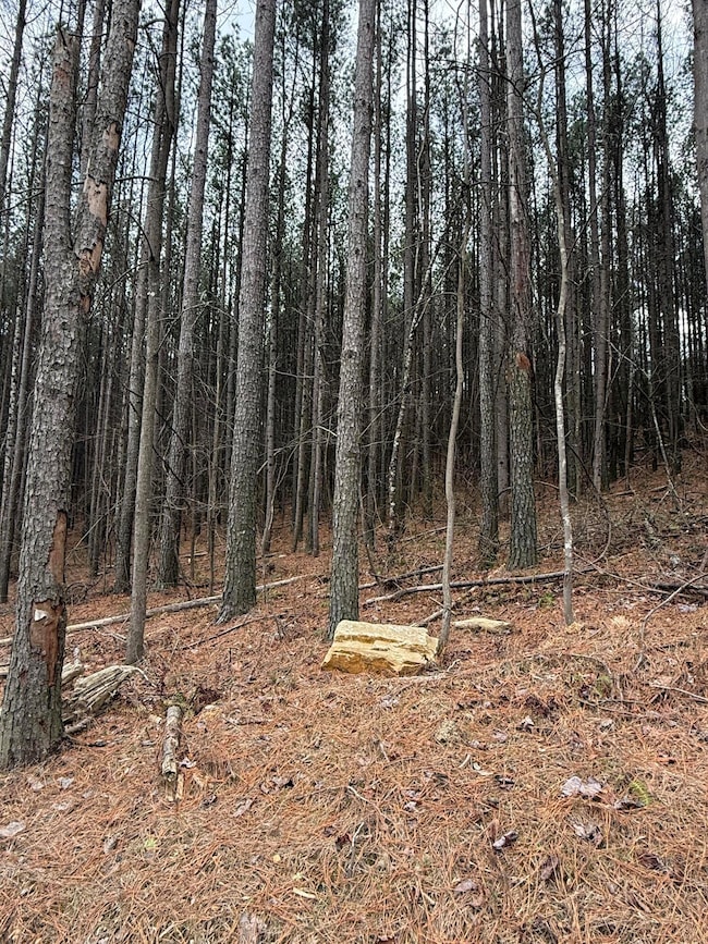 0 Birds Eye Way unit 1519145, Guild, TN 37340 - photo 5