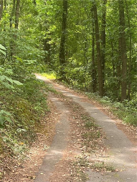 drive way