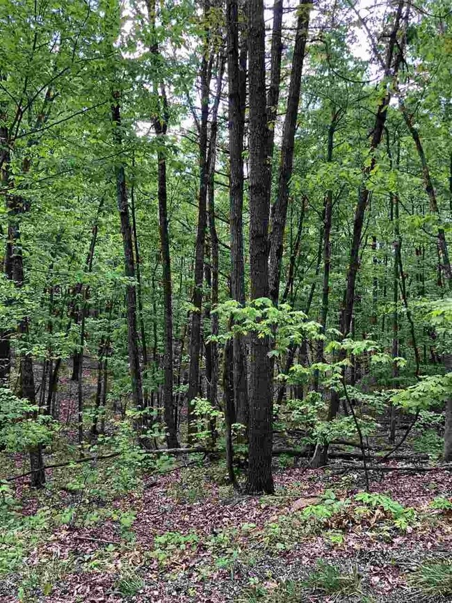 0 Clark Rd unit 629794, Basye, VA 22810 - photo 3