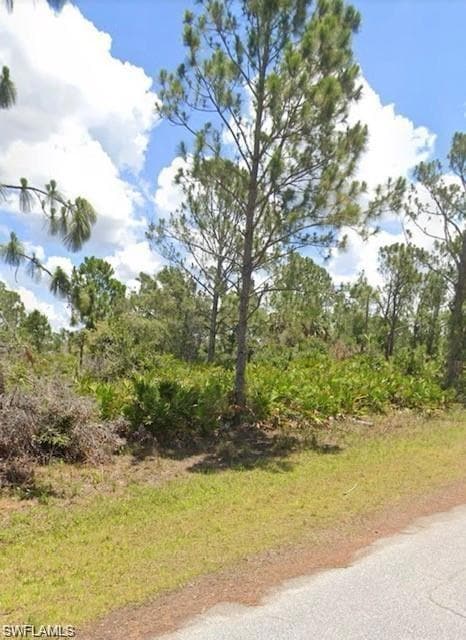 12214 Beiman Ave, Port Charlotte, FL 33981 - photo 3