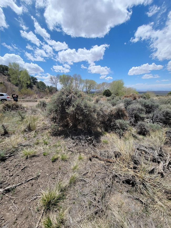 0 Michaels Rd unit 25558753, Fort Garland, CO 81133 - photo 3