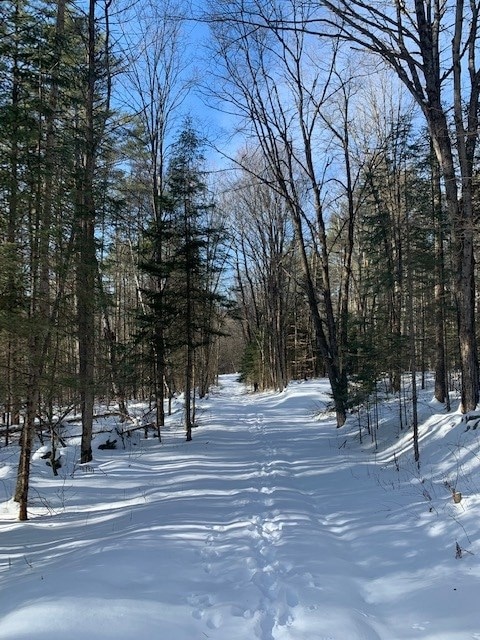 LOT 4 Lyman Rd, Lyman, NH 03585 - photo 2