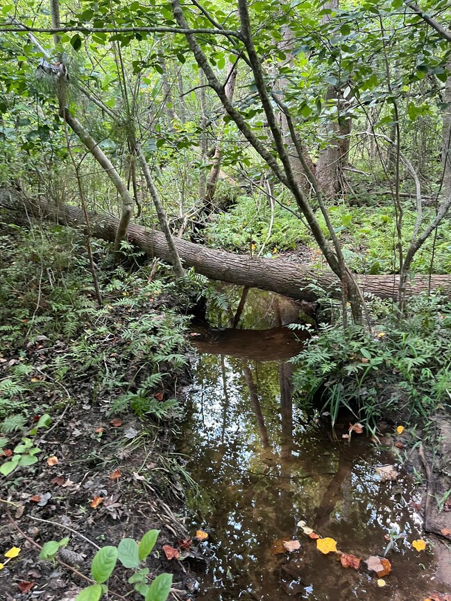 BFF 5 Brunson Teal Rd unit BFF 5, Chester, SC 29584 - photo 7