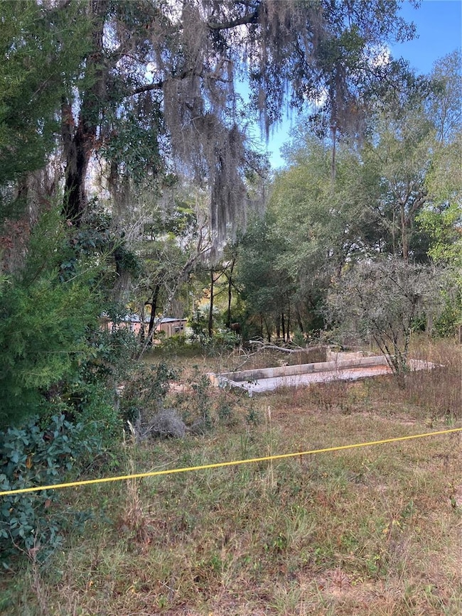 151 Duncan Ave, Interlachen, FL 32148 - photo 5